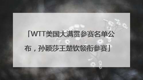 WTT美国大满贯参赛名单公布，孙颖莎王楚钦领衔参赛