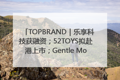 TOPBRAND｜乐享科技获融资；52TOYS拟赴港上市；Gentle Monster合作谷歌；Valentino传播官离职